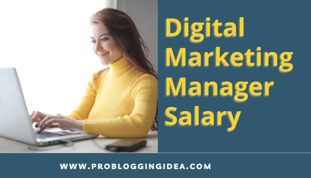 Digital Marketing Manager Salary Entry Level