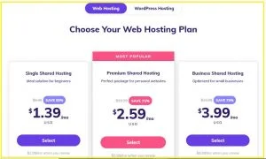Hostinger Web Hosting Review