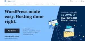 BlueHost Best Web Hosting Sites