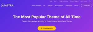 Best WordPress Theme For Portfolio Website In 2022