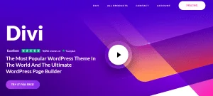 Best WordPress Theme For Portfolio Website In 2023