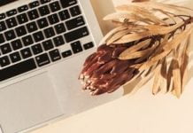 Best Web Hosting For Small Business Websites cropped-Best-Web-Hosting-For-Small-Business.jpg